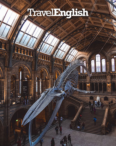 Cómo_conocer_Londres_con_bajo_presupuesto Cómo_conocer_Londres_con_bajo_presupuesto
